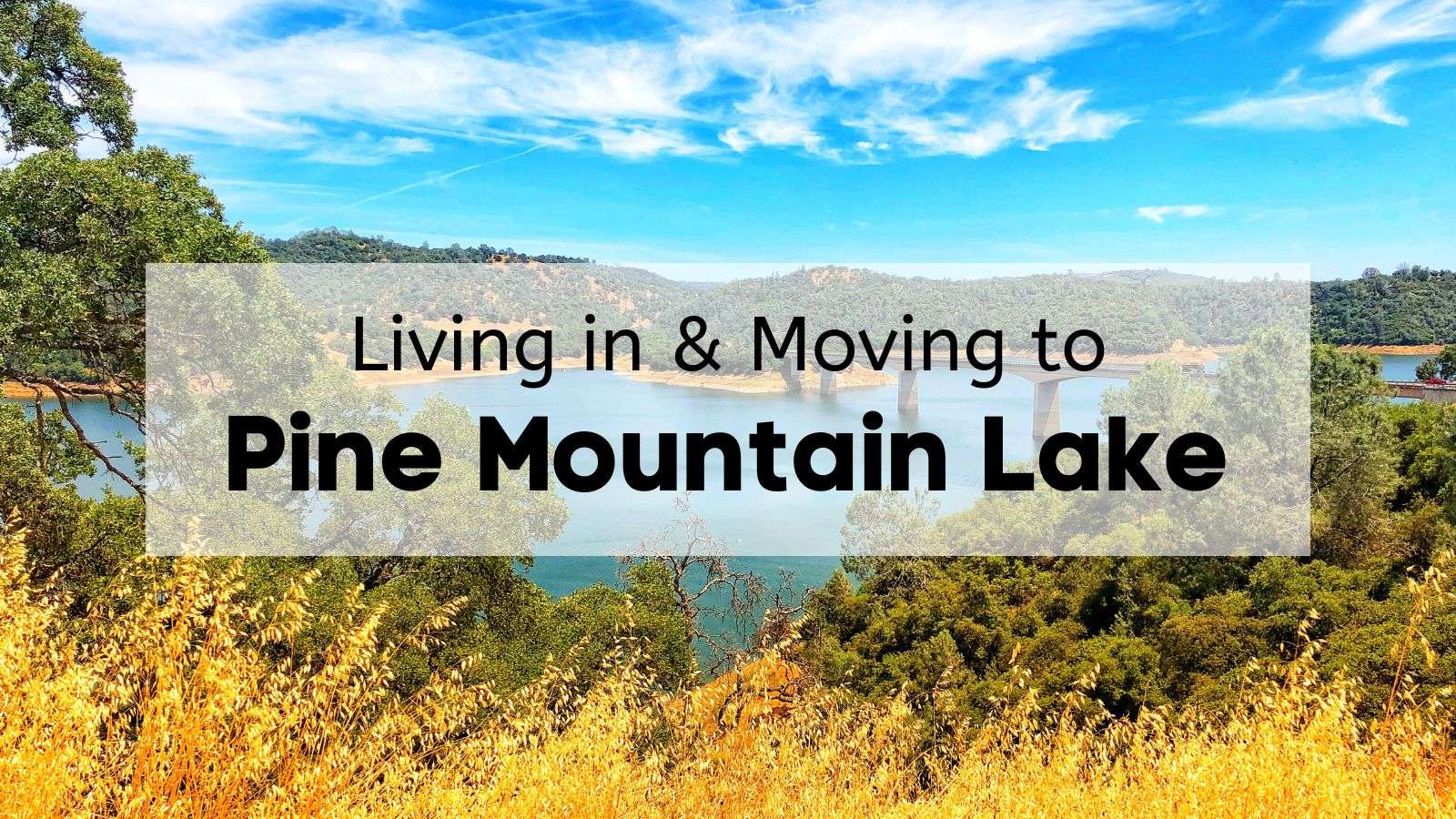 What's Living in Pine Mountain Lake Like? | 🏆 COMPLETE Moving to Pine ...